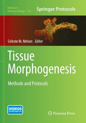 bokomslag Tissue Morphogenesis