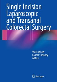 bokomslag Single Incision Laparoscopic and Transanal Colorectal Surgery