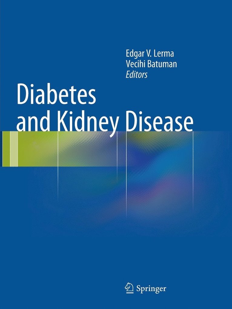 Edgar V. Lerma, Vecihi Batuman - Diabetes and Kidney Disease, Häftad