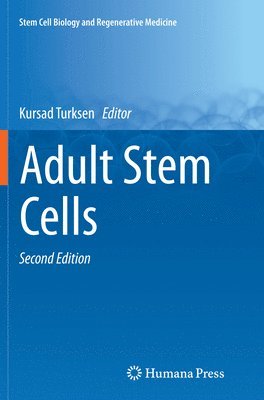 Adult Stem Cells 1