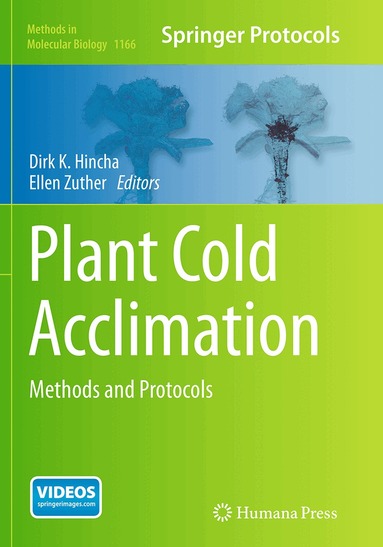 Dirk K. Hincha, Ellen Zuther - Plant Cold Acclimation, Häftad