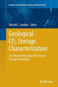 bokomslag Geological CO2 Storage Characterization