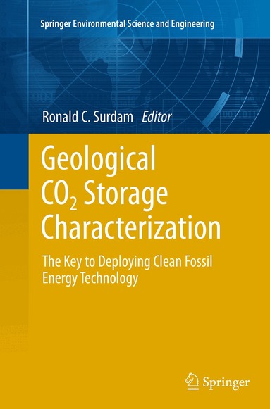 Ronald C. Surdam - Geological CO2 Storage Characterization, Häftad