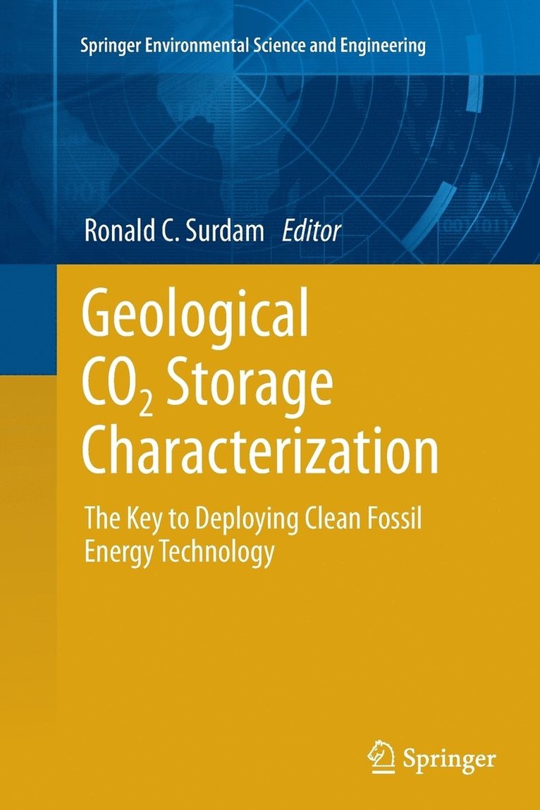 Ronald C. Surdam - Geological CO2 Storage Characterization, Häftad