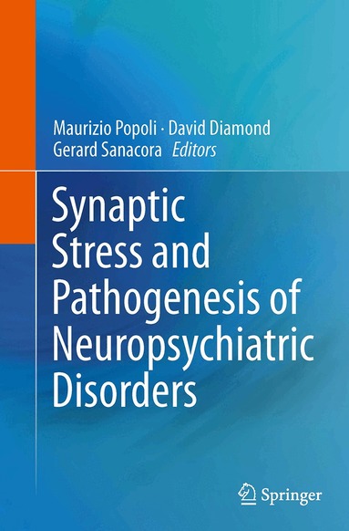 Maurizio Popoli, David Diamond, Gerard Sanacora - Synaptic Stress and Pathogenesis of Neuropsychiatric Disorders, Häftad