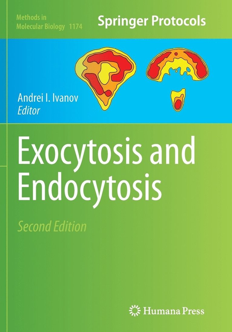 Andrei I. Ivanov - Exocytosis and Endocytosis, Häftad