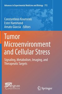 bokomslag Tumor Microenvironment and Cellular Stress