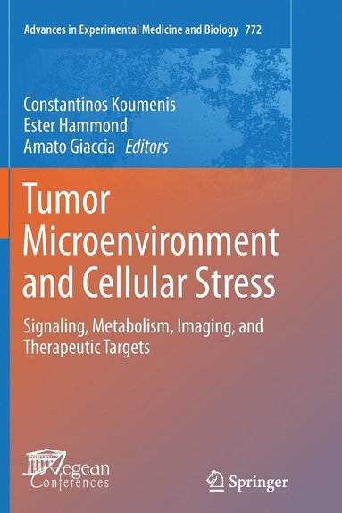 bokomslag Tumor Microenvironment and Cellular Stress