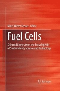 bokomslag Fuel Cells