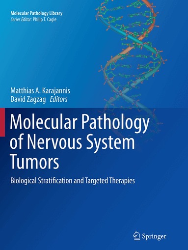 Matthias A. Karajannis, David Zagzag - Molecular Pathology of Nervous System Tumors, Häftad