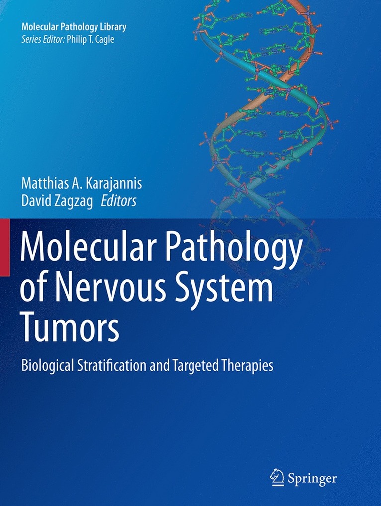 Matthias A. Karajannis, David Zagzag - Molecular Pathology of Nervous System Tumors, Häftad