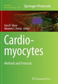 bokomslag Cardiomyocytes