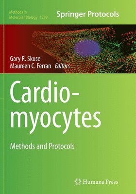 Gary R. Skuse, Maureen C. Ferran - Cardiomyocytes, Häftad