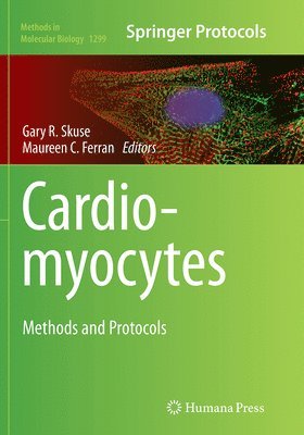 Cardiomyocytes 1