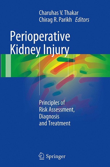 bokomslag Perioperative Kidney Injury