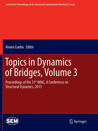 Alvaro Cunha - Topics in Dynamics of Bridges, Volume 3, Häftad