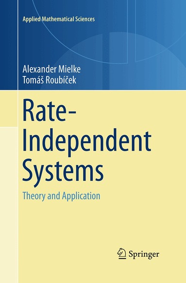 Alexander Mielke, Tomáš Roubíček - Rate-Independent Systems, Häftad