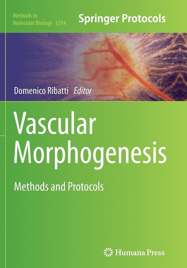 Vascular Morphogenesis 1