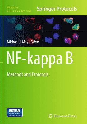 NF-kappa B 1