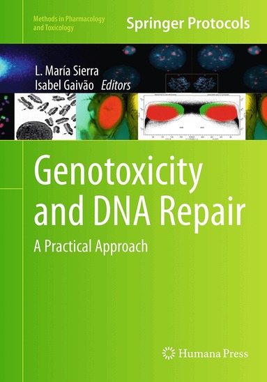 L. María Sierra, Isabel Gaivão - Genotoxicity and DNA Repair, Häftad