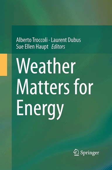 Alberto Troccoli, Laurent Dubus, Sue Ellen Haupt - Weather Matters for Energy, Häftad