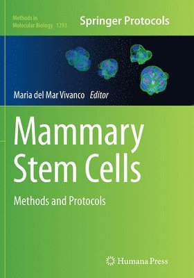 bokomslag Mammary Stem Cells