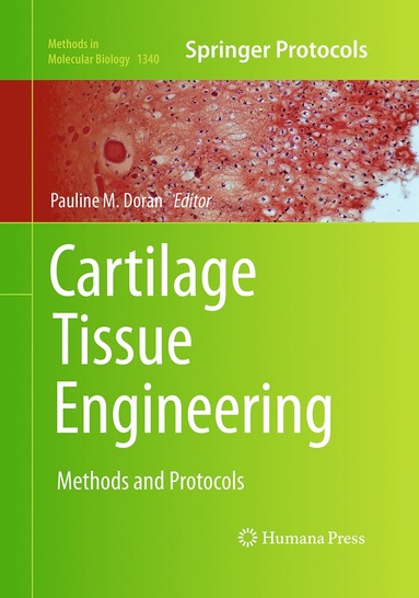 bokomslag Cartilage Tissue Engineering