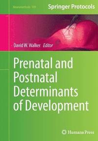 bokomslag Prenatal and Postnatal Determinants of Development