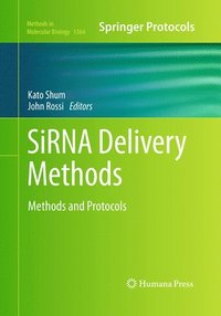 bokomslag SiRNA Delivery Methods