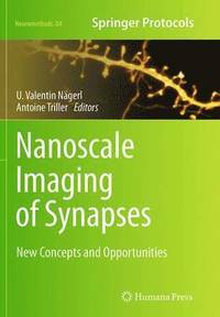 bokomslag Nanoscale Imaging of Synapses