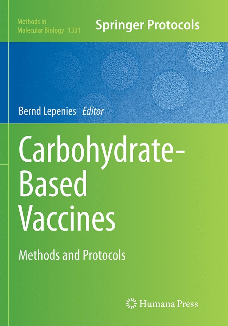 Bernd Lepenies - Carbohydrate-Based Vaccines, Häftad