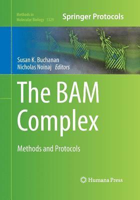 bokomslag The BAM Complex