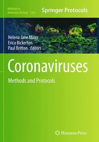 bokomslag Coronaviruses