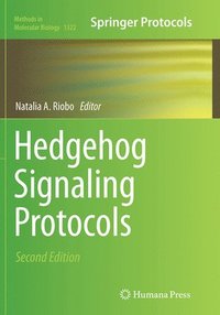 bokomslag Hedgehog Signaling Protocols