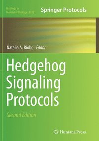 bokomslag Hedgehog Signaling Protocols