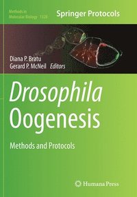 bokomslag Drosophila Oogenesis