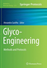 bokomslag Glyco-Engineering