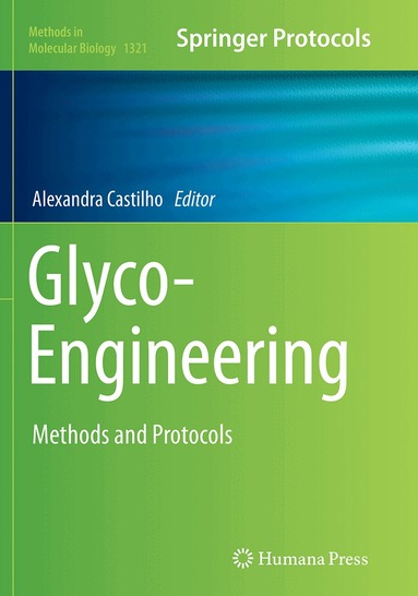 Alexandra Castilho - Glyco-Engineering, Häftad