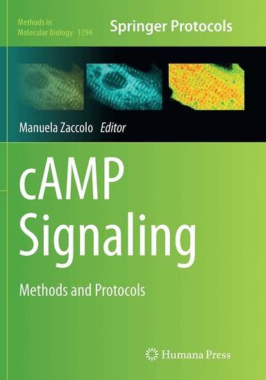 Manuela Zaccolo - cAMP Signaling, Häftad