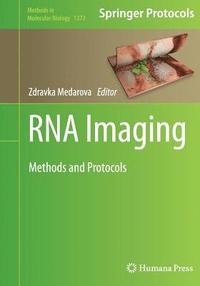 bokomslag RNA Imaging