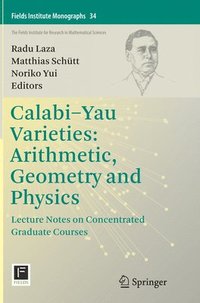 bokomslag Calabi-Yau Varieties: Arithmetic, Geometry and Physics