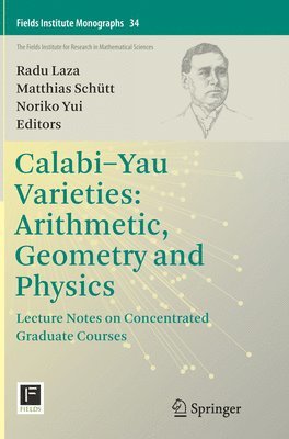 bokomslag Calabi-Yau Varieties: Arithmetic, Geometry and Physics