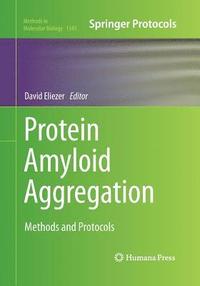 bokomslag Protein Amyloid Aggregation