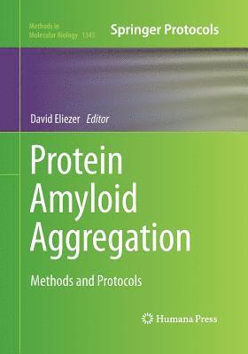 bokomslag Protein Amyloid Aggregation