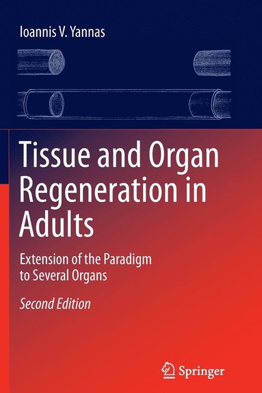 bokomslag Tissue and Organ Regeneration in Adults