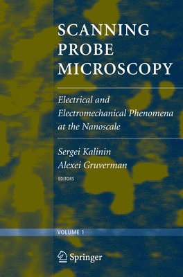 bokomslag Scanning Probe Microscopy