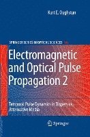 Electromagnetic and Optical Pulse Propagation 2 1