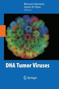 bokomslag DNA Tumor Viruses