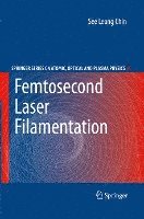 bokomslag Femtosecond Laser Filamentation