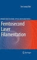 bokomslag Femtosecond Laser Filamentation